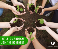 hands holding a seedling and dirt