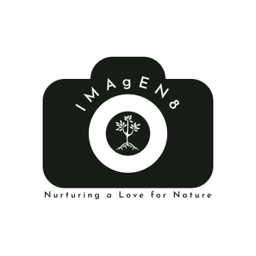 Logo for IMAgEN8