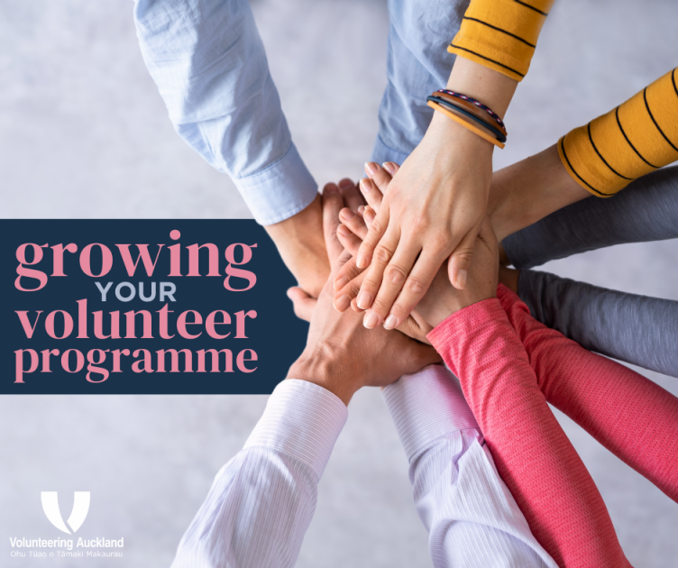 How to grow a volunteer programme to support a small charity’s ...