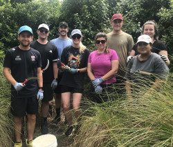 A team of volunteers from KPMG, standing with shovels, among the plants at Oakley Creek