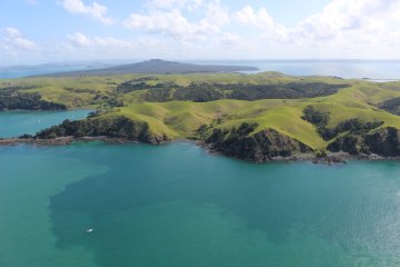Logo for Motutapu Restoration Trust